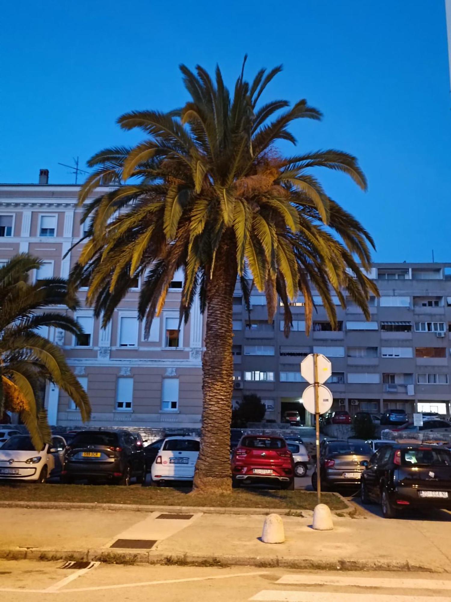 Zadar Beach Apartments Exterior photo
